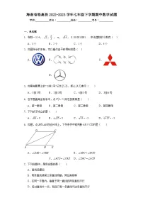 海南省临高县2022-2023学年七年级下学期期中数学试题(含解析)
