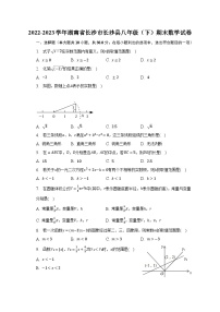 2022-2023学年湖南省长沙市长沙县八年级（下）期末数学试卷（含解析）