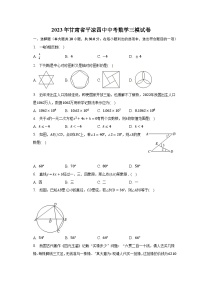 2023年甘肃省平凉四中中考数学三模试卷（含解析）