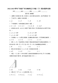 2022-2023学年广东省广州市南沙区八年级（下）期末数学试卷