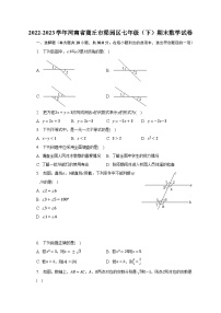 2022-2023学年河南省商丘市梁园区七年级（下）期末数学试卷（含解析）