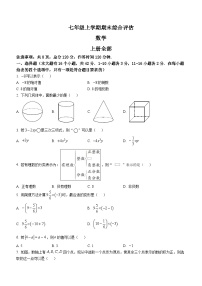 河北省邢台市南宫市2022-2023学年七年级上学期期末数学试题（含答案）