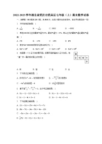 湖北省武汉市武昌区2022-2023学年七年级上学期期末数学试卷（含答案）