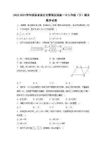 陕西省西安市雁塔区高新一中2022-2023学年八年级下学期期末数学试卷（含答案）