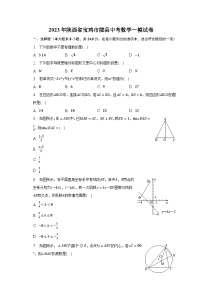 2023年陕西省宝鸡市陇县中考数学一模试卷（含解析）