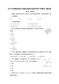 2023年河南省郑州市高新区枫杨外国语学校中考数学三模试卷（含解析）