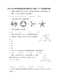 2022-2023学年陕西省宝鸡市陈仓区八年级（下）期末数学试卷（含解析）