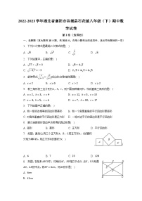 2022-2023学年湖北省襄阳市谷城县石花镇八年级（下）期中数学试卷（含解析）