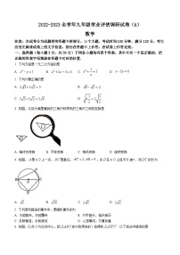 河南省新乡市辉县市市大成实验学校2022-2023学年九年级下学期2月月考数学试题（含答案）