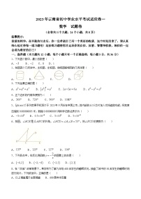 云南省昭通市巧家县大寨中学2022-2023学年九年级下学期4月月考数学试题（含答案）