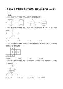 2023年中考数学真题分类汇编——专题14 几何图形初步与三视图、相交线与平行线（全国通用）