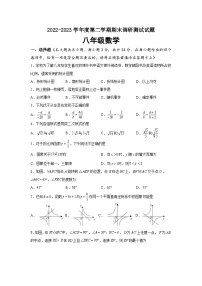 江苏省淮安市淮安区2022-2023学年八年级下学期期末调研测试数学试卷（含答案）