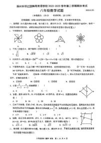 江苏省扬州市邗江区梅苑双语学校2022-2023学年八年级下学期期末考试数学试卷