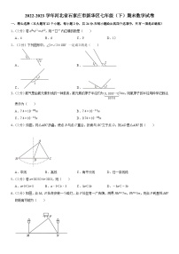 河北省石家庄市新华区2022-2023学年七年级下学期期末数学试卷（含答案）