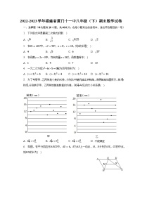 2022-2023学年福建省厦门十一中八年级（下）期末数学试卷（含解析）