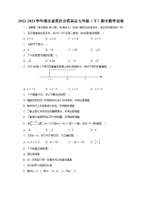 2022-2023学年湖北省武汉市武昌区七年级（下）期末数学试卷（含解析）