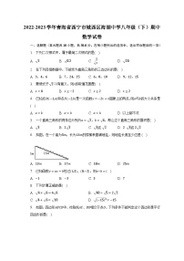 2022-2023学年青海省西宁市城西区海湖中学八年级（下）期中数学试卷（含解析）