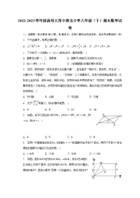 2022-2023学年陕西师大附中渭北中学八年级（下）期末数学试卷（含解析）