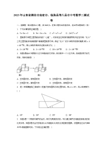 2023年山东省潍坊市高密市、临朐县等八县市中考数学三模试卷（含解析）