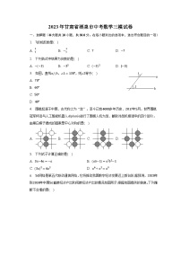 2023年甘肃省酒泉市中考数学三模试卷（含解析）