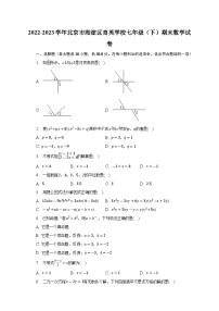 北京市海淀区育英学校2022-2023学年七年级下学期期末数学试卷（含答案）