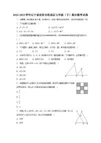 辽宁省沈阳市铁西区2022-2023学年七年级下学期期末数学试卷（含答案）