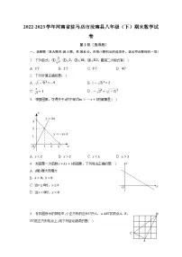 河南省驻马店市汝南县2022-2023学年八年级下学期期末数学试卷(含答案)