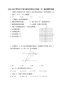 2022-2023学年辽宁省大连市庄河市七年级（下）期末数学试卷（含解析）