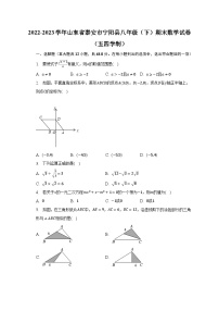 2022-2023学年山东省泰安市宁阳县八年级（下）期末数学试卷（五四学制）（含解析）