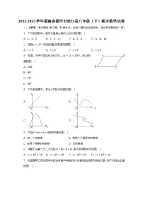 2022-2023学年福建省福州市连江县八年级（下）期末数学试卷（含解析）