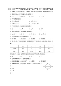 2022-2023学年广东省汕头市金平区八年级（下）期末数学试卷（含解析）