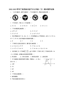 2022-2023学年广西贵港市桂平市七年级（下）期末数学试卷（含解析）