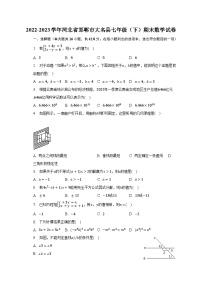 2022-2023学年河北省邯郸市大名县七年级（下）期末数学试卷（含解析）