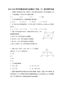2022-2023学年河南省洛阳市老城区八年级（下）期末数学试卷（含解析）
