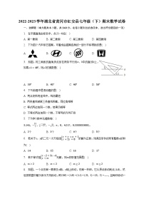 2022-2023学年湖北省黄冈市红安县七年级（下）期末数学试卷（含解析）