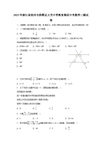 2023年浙江省杭州市拱墅区大关中学教育集团中考数学三模试卷（含解析）