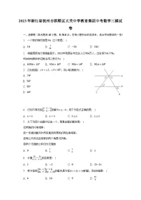 2023年浙江省杭州市拱墅区大关中学教育集团中考数学三模试卷（含解析）