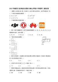 2023年黑龙江省鸡西市虎林市青山学校中考数学三模试卷（含解析）