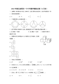 2023年湖北省武汉一中中考数学模拟试卷(6月份)(含解析)