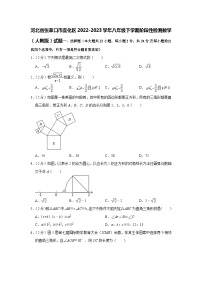 河北省张家口市宣化区2022-2023学年八年级下学期期末数学试题（含答案）