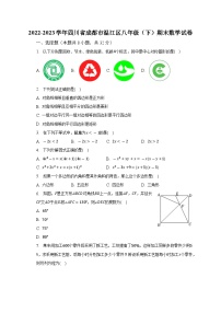 2022-2023学年四川省成都市温江区八年级（下）期末数学试卷（含解析）