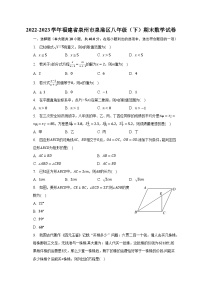 2022-2023学年福建省泉州市泉港区八年级（下）期末数学试卷（含解析）