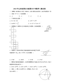 2023年山东省泰安市新泰市中考数学三模试卷（含解析）