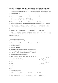 2023年广东省佛山市顺德区拔萃实验学校中考数学三模试卷（含解析）