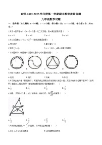 河北省沧州市献县2022-2023学年九年级上学期期末数学试题（含答案）