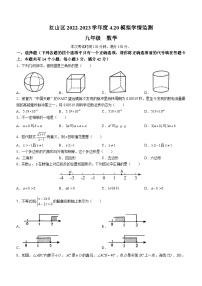 内蒙古自治区赤峰市红山区2022-2023学年九年级下学期4月月考数学试题（含答案）