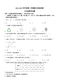 山东省济南市东南片区2022-2023学年七年级下学期期末数学试题（含答案）