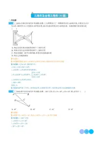 三角形及全等三角形（共30题）——2023年中考数学真题分项汇编（解析版）
