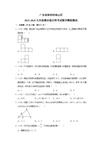 广东省深圳市南山区2022-2023九年级下学期期末适应性考试数学模拟测试（含答案）