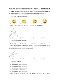 2022-2023学年江苏省南京市联合体八年级（上）期中数学试卷